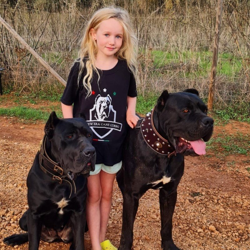 Girl with Cane Corso