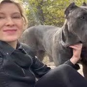 cane corso reviews (8)